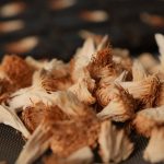 چای سیاه ترکیب قارچ فشرده «خشتبار» لُ - تصویر 4